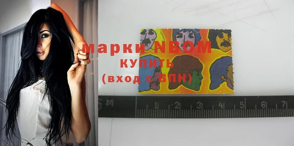 индика Балахна