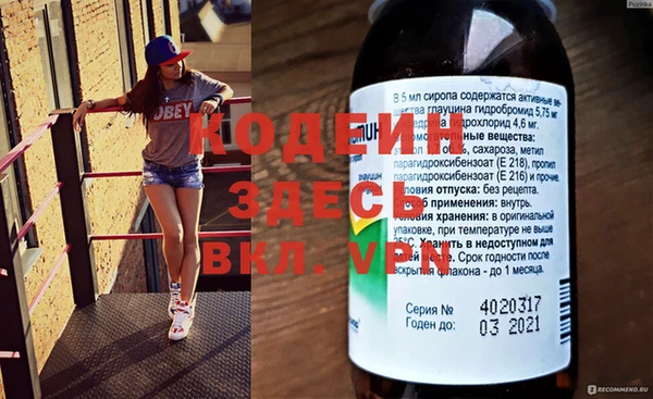 индика Балахна